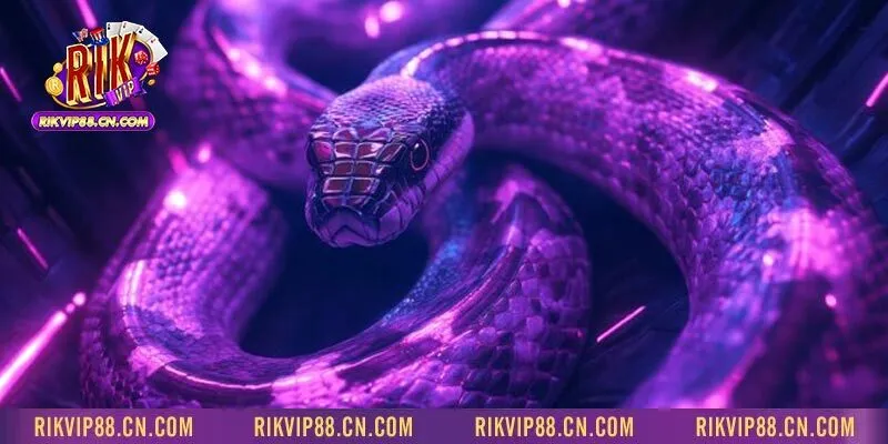 Mơ thấy rắn đánh số nào? Góc nhìn tâm linh và giải mã hiện đại